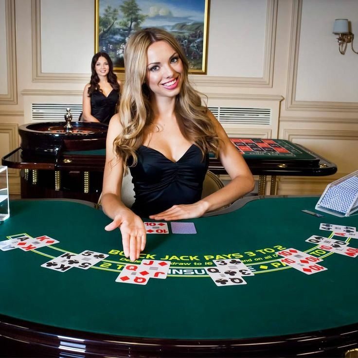 ck1 Live Casino